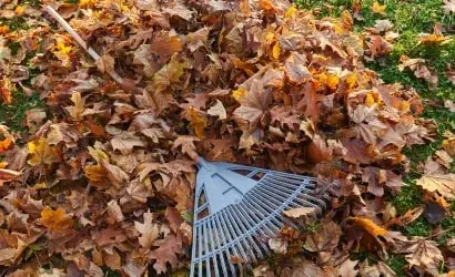 Benefits of Drip Irrigation for Water Conservation