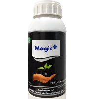 Magic